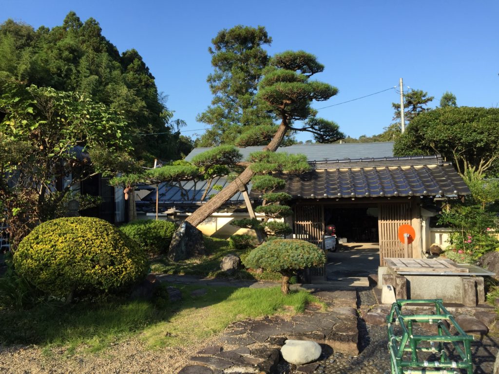 一関市花泉町の巨大な庭！10本以上の松を仕上げた手入れの完全ガイド