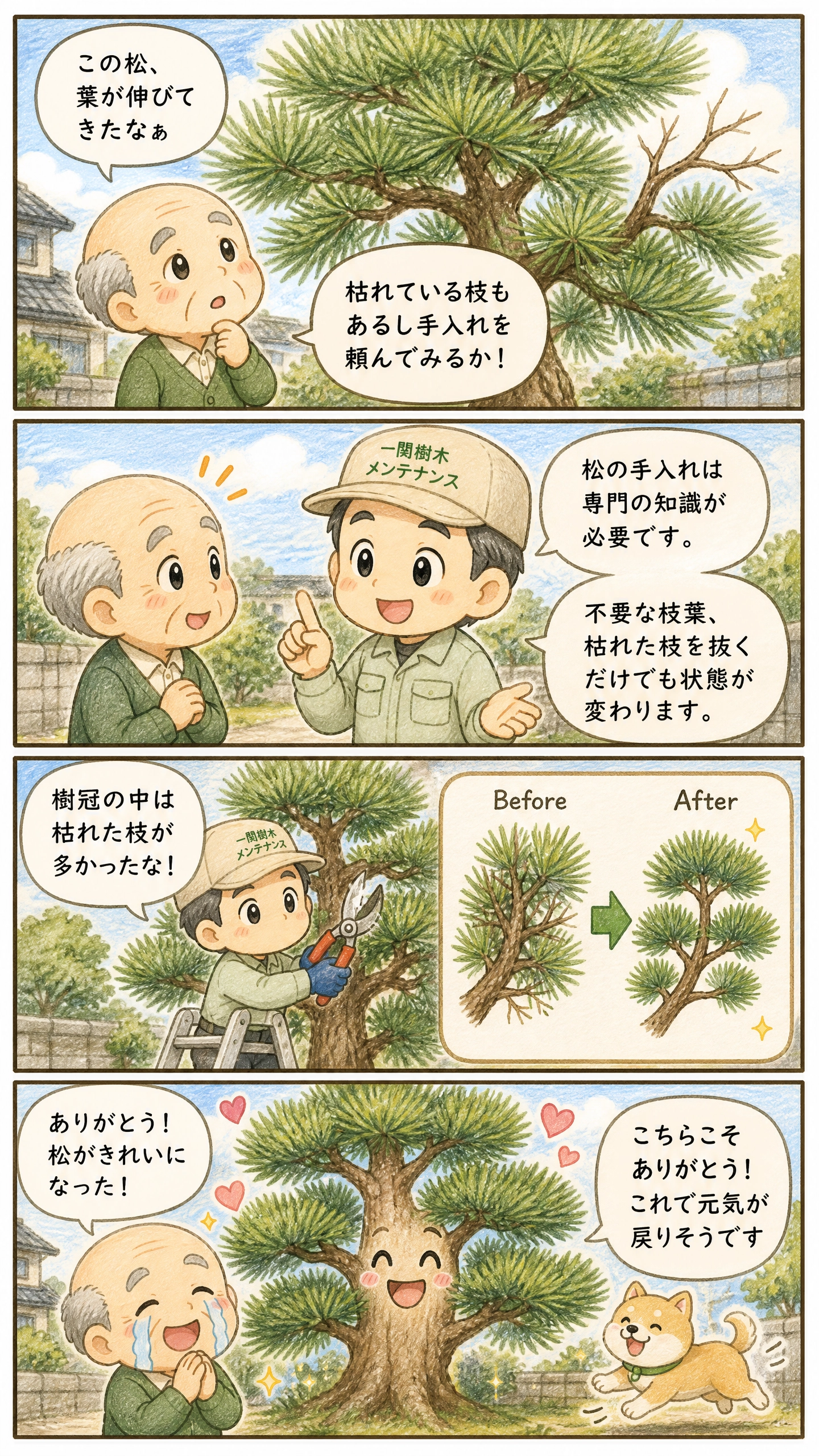 松の剪定マンガ解説